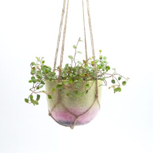 プラントハンガー ｜ hummingbird