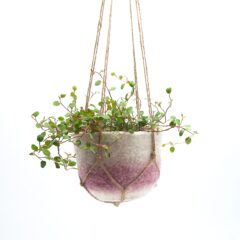 プラントハンガー ｜ dusk と、MONDO GROSSO 『LIFE feat.bird』