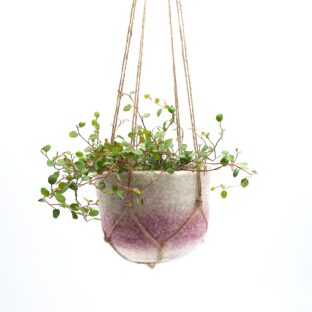 プラントハンガー ｜ dusk